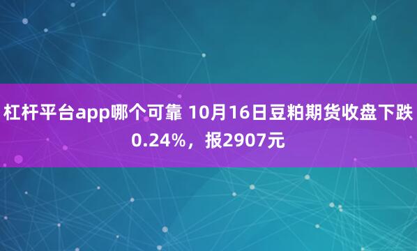 杠杆平台app哪个可靠 10月16日豆粕期货收盘下跌0.24%,报2907元