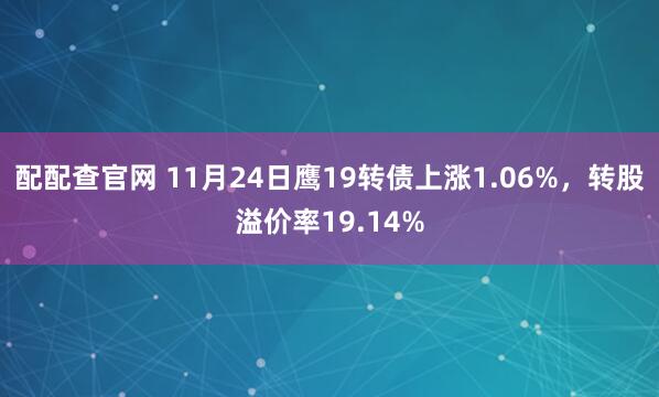 配配查官网 11月24日鹰19转债上涨1.06%，转股溢价率19.14%