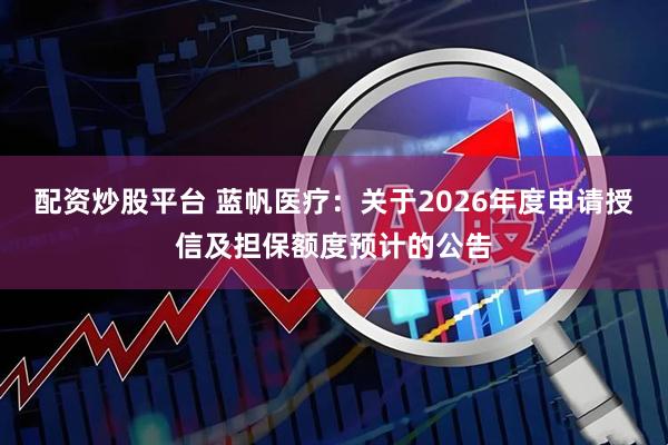 配资炒股平台 蓝帆医疗：关于2026年度申请授信及担保额度预计的公告