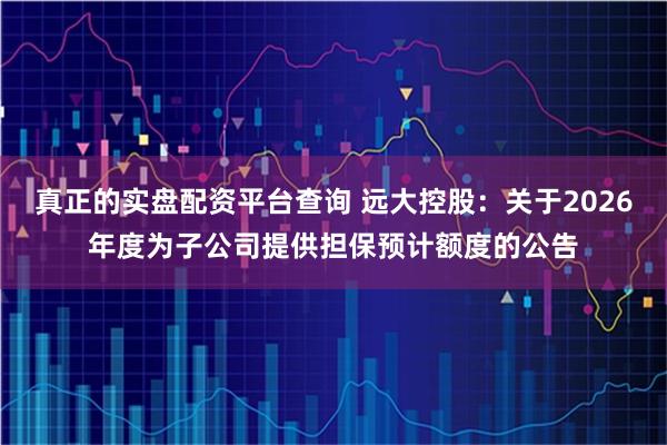 真正的实盘配资平台查询 远大控股:关于2026年度为子公司提供担保预计额度的公告
