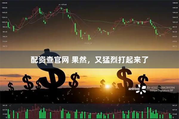配资查官网 果然，又猛烈打起来了